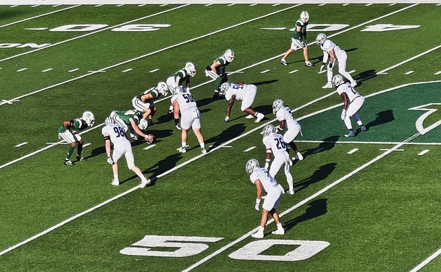 展的趋势 展的趋势