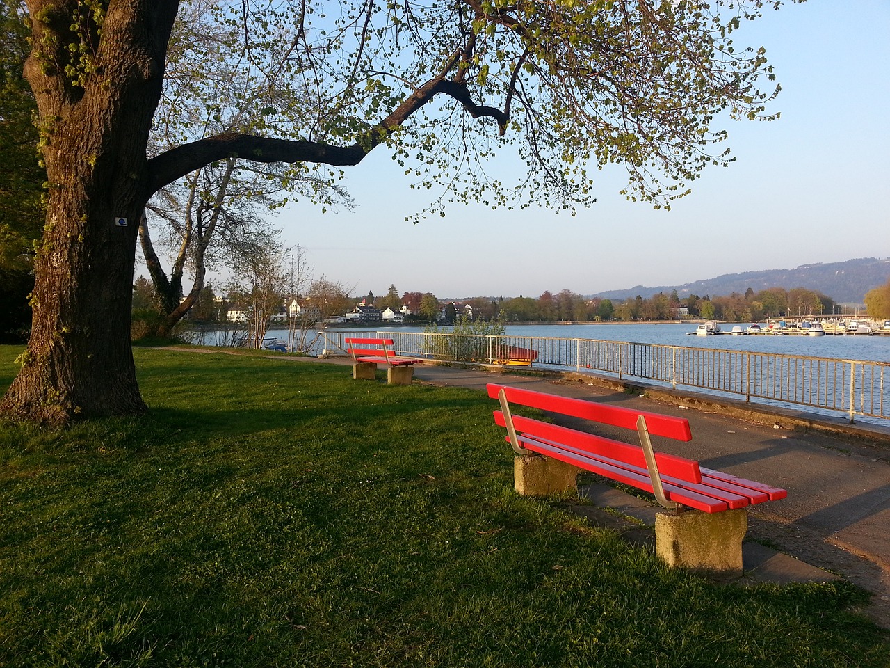 亚历山大 亚历山大