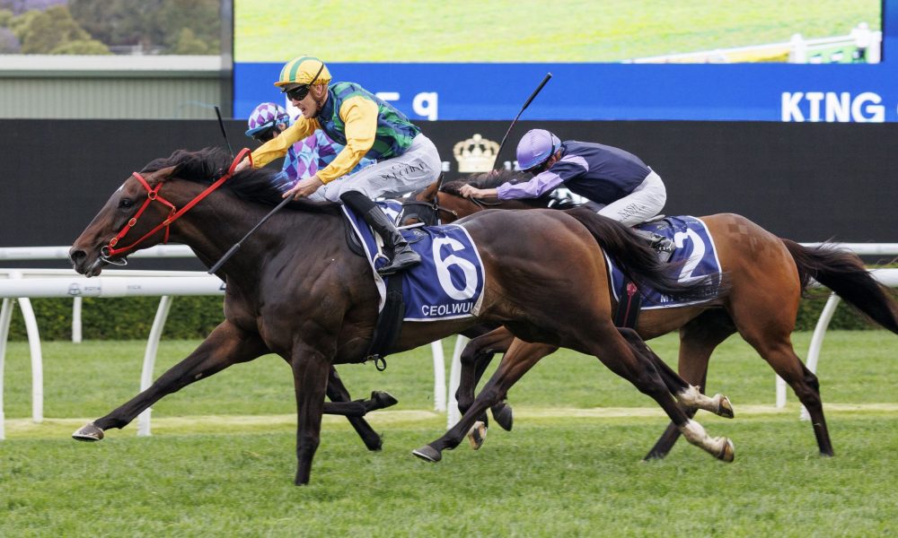 消除对痴呆 消除对痴呆